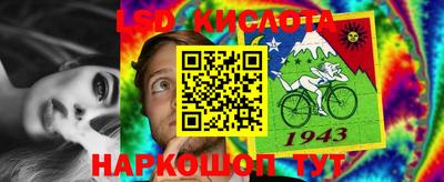 ECSTASY Гатчина