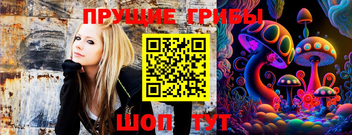 Галлюциногенные грибы прущие грибы  Вход с VPN  Псилоцибиновые грибы ЛСД  Можга 